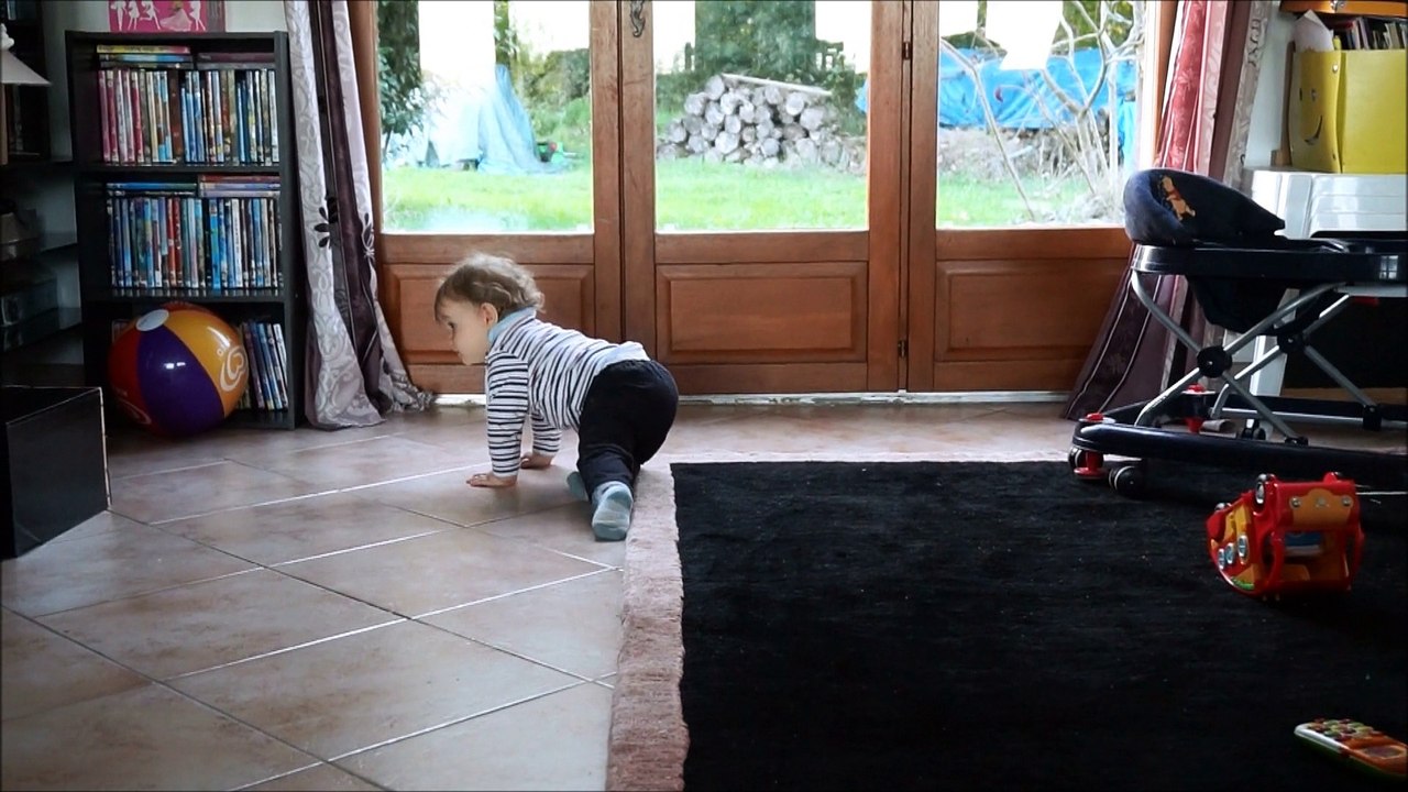 loulou fait le quatre pattes depuis jeudi 30octobre2014