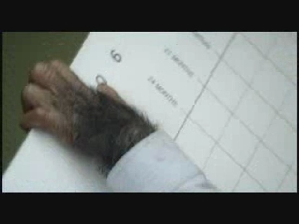 résultats du semestre