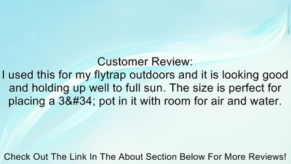 Syndicate Sales 6" Rose Bowl, Clear Review