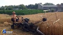 Wheat Cuting Machine Amazing