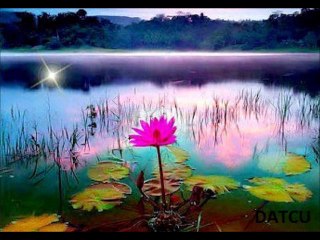 NİLÜFER - BÖYLE AYRILIK OLMAZ