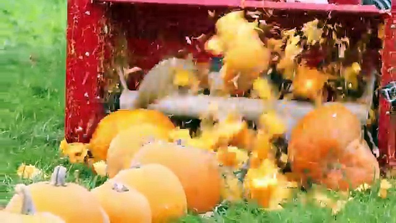 100 Pumpkins vs Snowblower