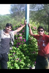 dil pagel ha ka phare lryq gå