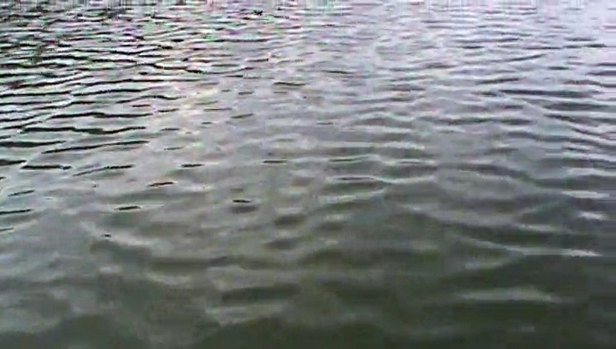 M2U00103