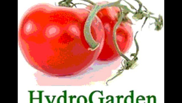 HydroGarden - about calcium deficiency symptoms