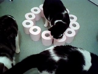 Le test du cercle. Réalisé avec trucage, mais chuut!