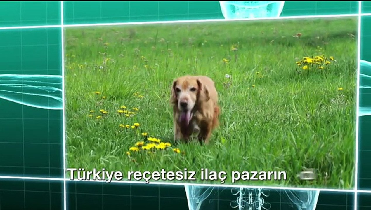 Bayer  Turkey