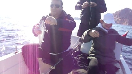 AKYA AVINDA KULLANILACAK PALAMUT AVI - www.adrasanbalik.com