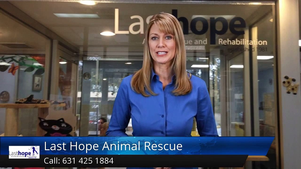 Last Hope Animal Rescue Excellent 5-Star Review by Janelle M