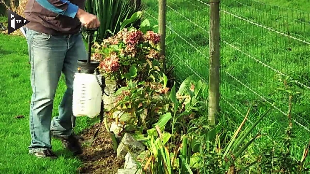 Pas-de-Calais : une école fermée à cause de voisins menaçants