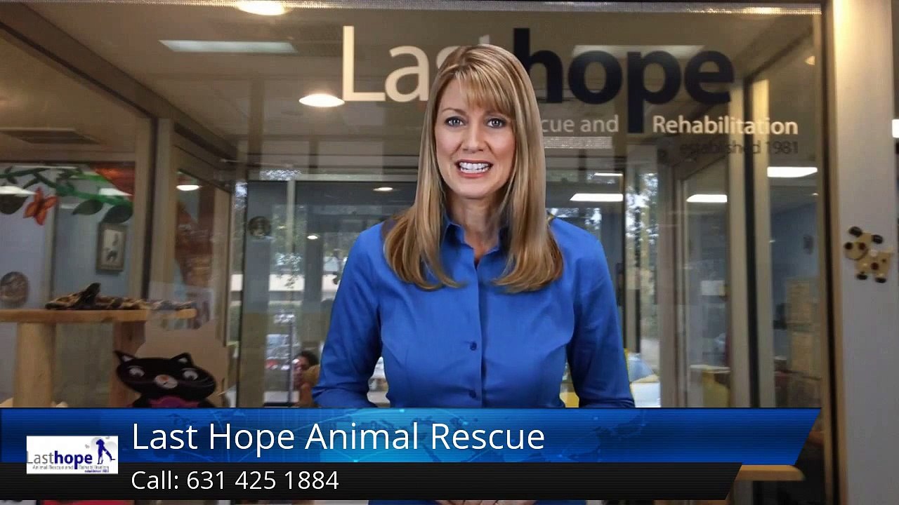 Last Hope Animal Rescue Outstanding 5 Star Review by Daniella R