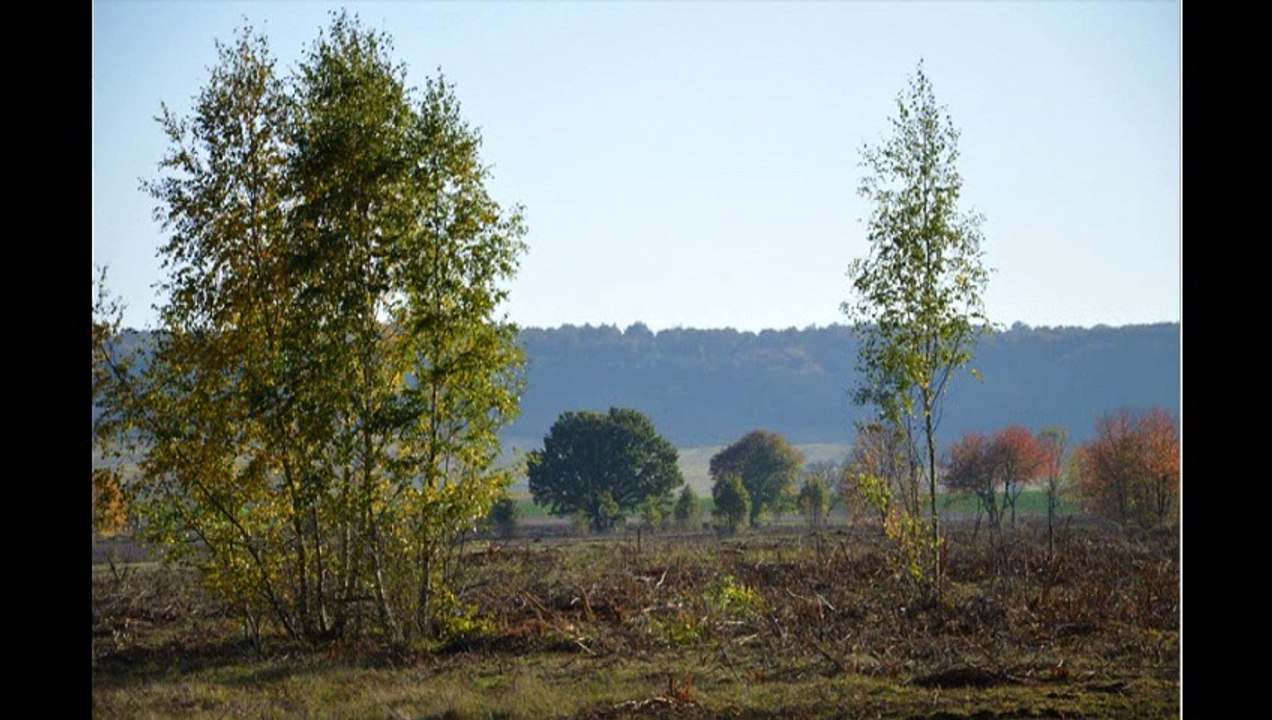 La fin programmée du terrain militaire  de CUIS dans la MARNE
