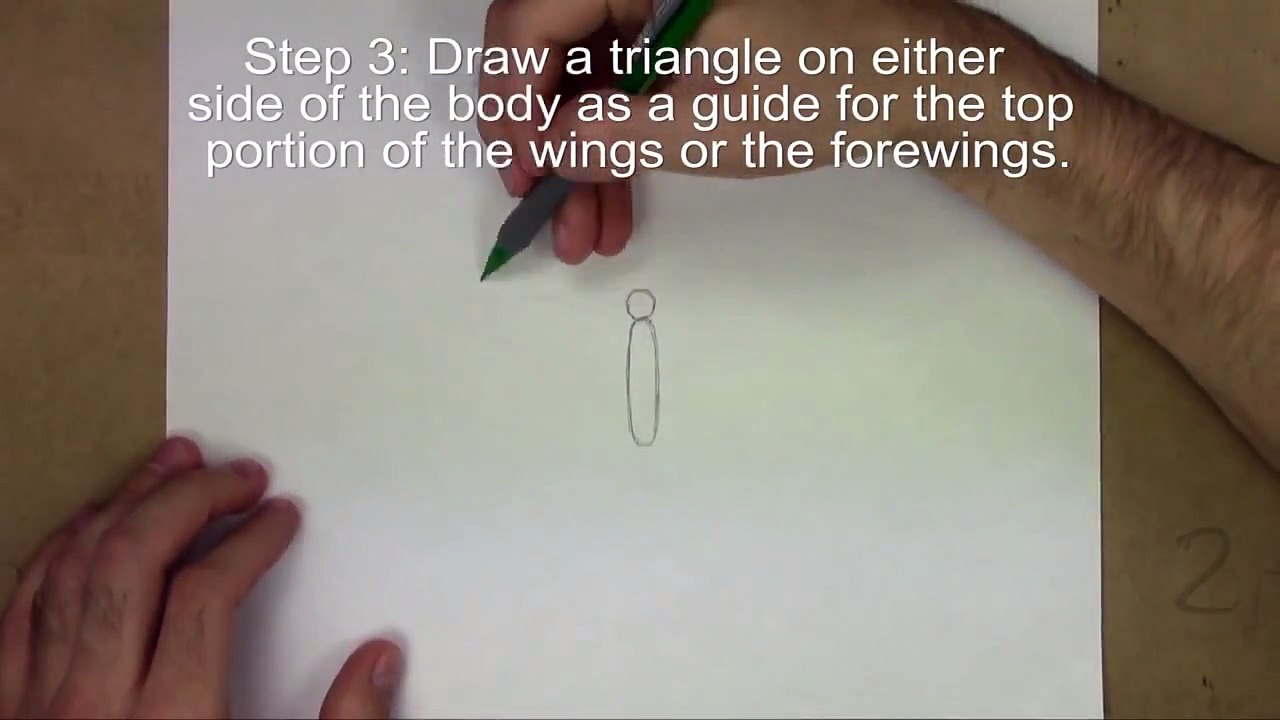 Karakalem Kelebek Çizimi