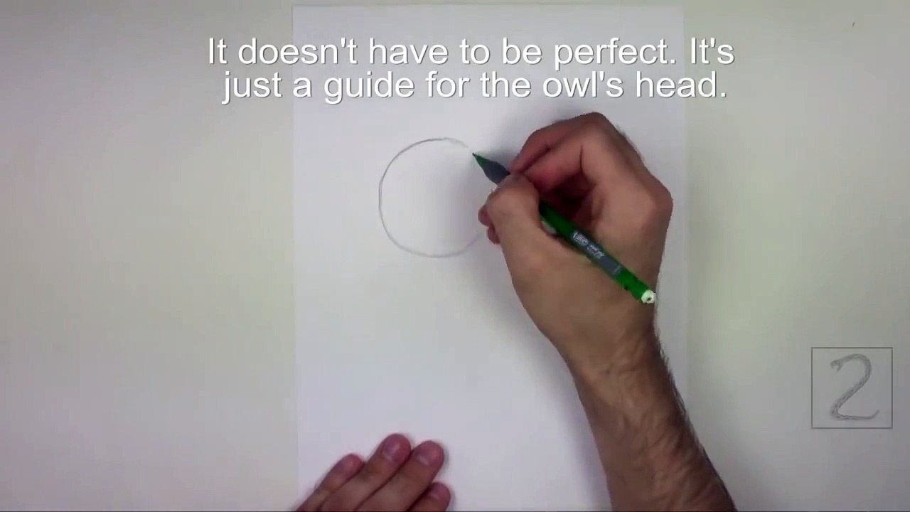 Karakalem Peçeli Baykuş Çizimi