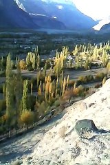 saleem qazis vellage yasin