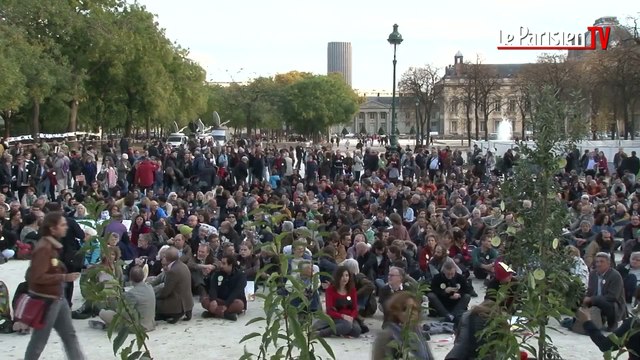 Sit-in pacifique à Paris en hommage à Rémi Fraisse