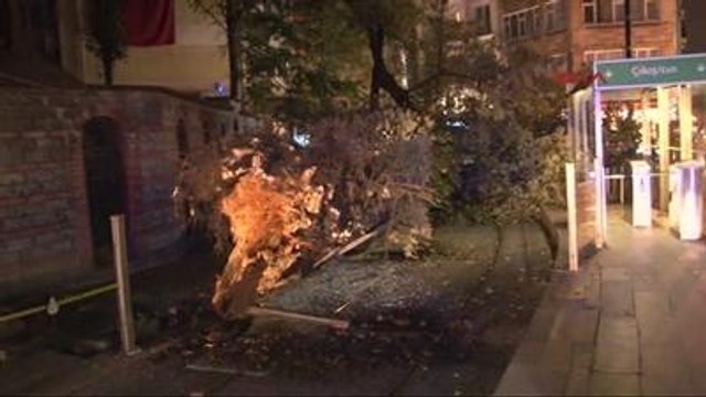 Tramvay Yoluna Ağaç Devrildi; 2 Yaralı