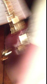 Meet ‘Coyote’ the dog who howls the blues (but only in Bb)