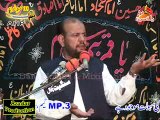 Zakir Ali Abbas Alvi 3 Muhram 2014 Mojianwala