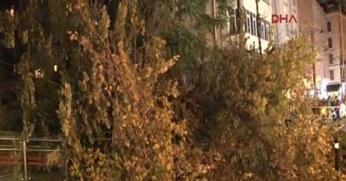Gülhane Tramvay Durağına Ağaç Devrildi