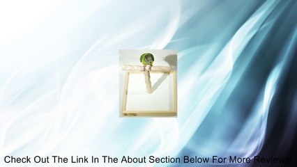 Deluxe Tabletop NU Perch - Parrot T Perch Stand Review