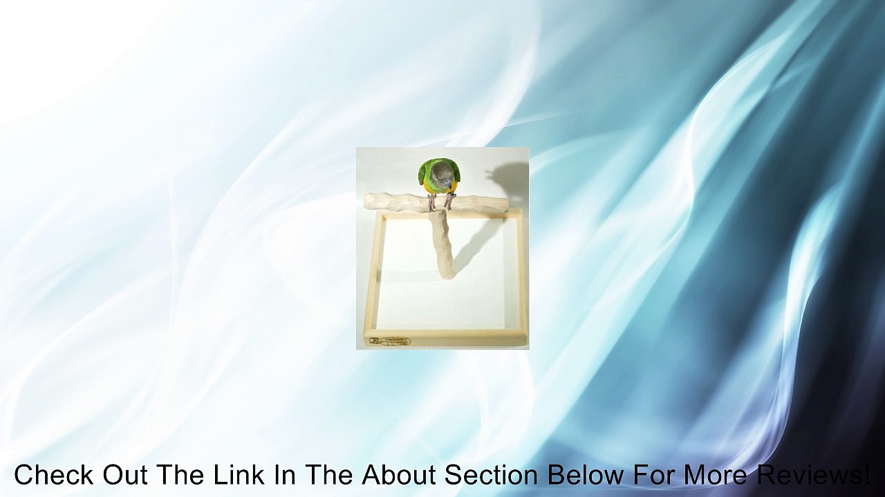 Deluxe Tabletop NU Perch - Parrot T Perch Stand Review