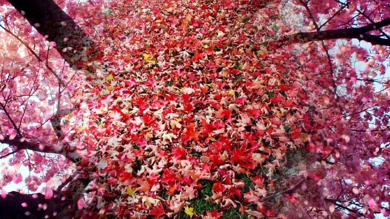 Осень  tu Moskow