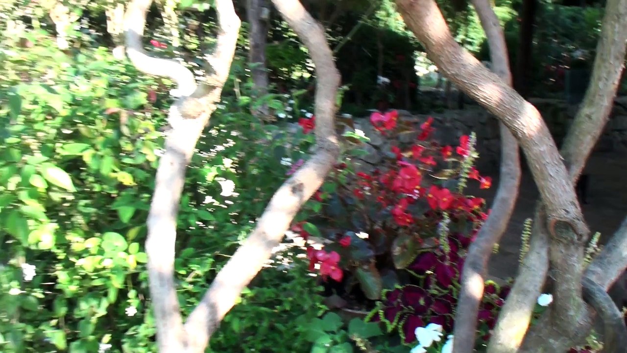 Casa Tallini Giordano 1:11:2014