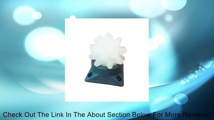 RumbleRoller Beastie, Original Beastie (Clear) with Base Review