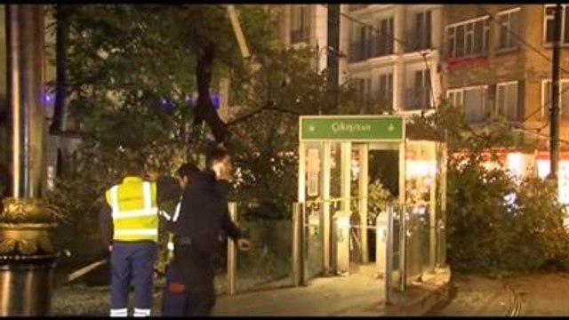 Yaşlı Çınar Ağacı Tramvay Yoluna Devrildi; 3 Yaralı
