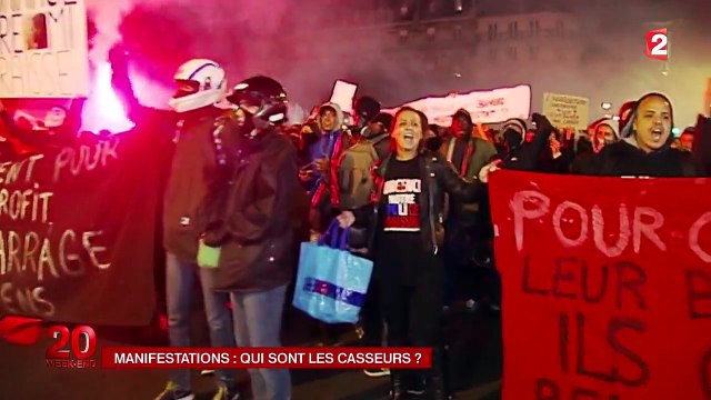 Manifs en hommage à Rémi Fraisse : qui sont les casseurs ?