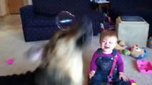 Un bébé mort de rire à cause de son chien mangeur de bulles