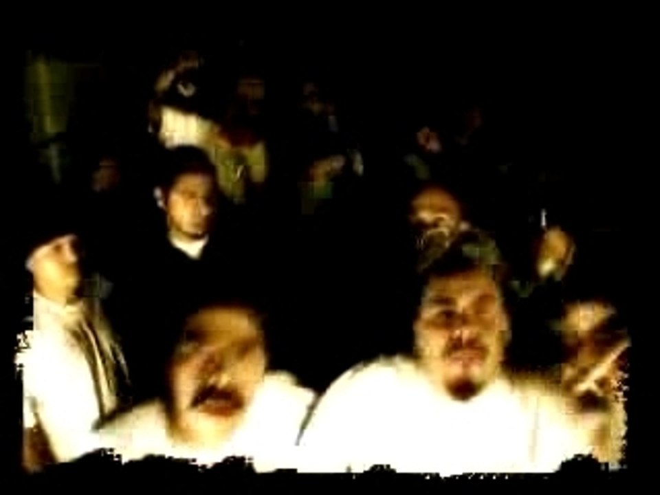Mr Trippalot & Dinero-Mexicanos