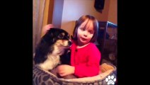 Best Dog Vines January 2014 - Compilation of Funny and Amazing Puppy and Dog Vines!