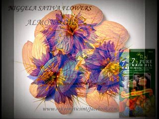 RAJ Cosmetics International # 363627