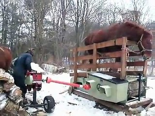 horse cutting machine...........