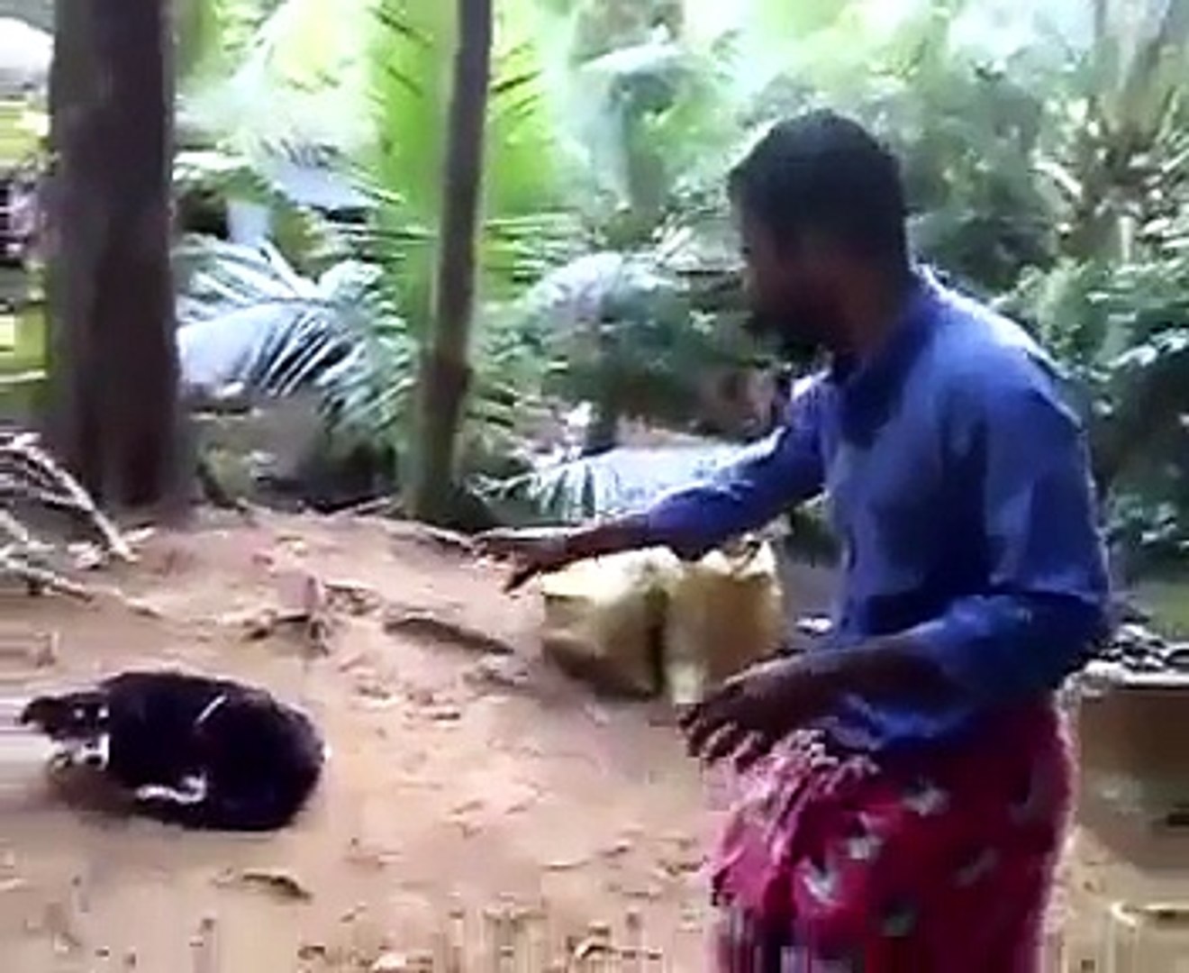 ⁣animal planet india ..  funny dog bite lmfao