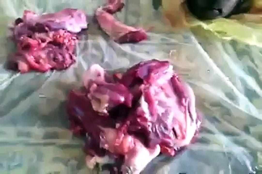 a men eating dog meat.........