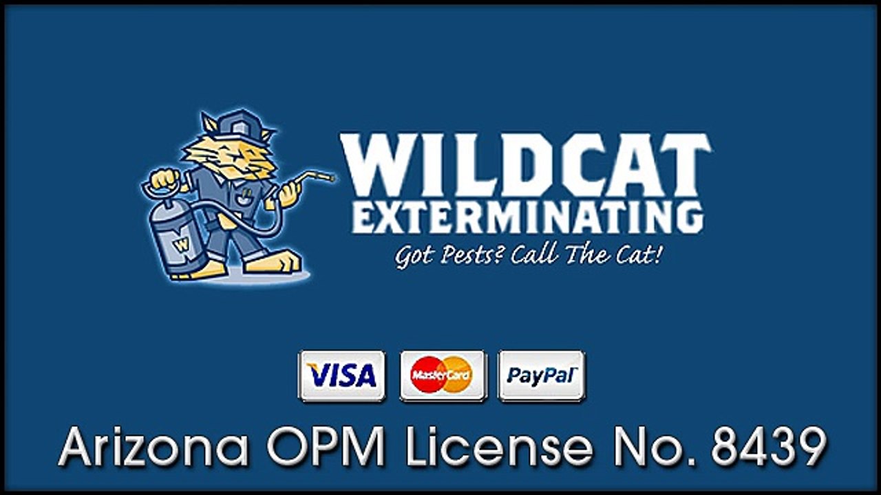 Bed Bug Treatment‎ Tucson - Wildcat Exterminating