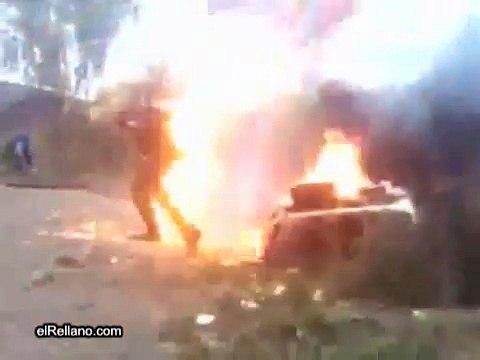 LE PET DU POLONAIS BOURRE