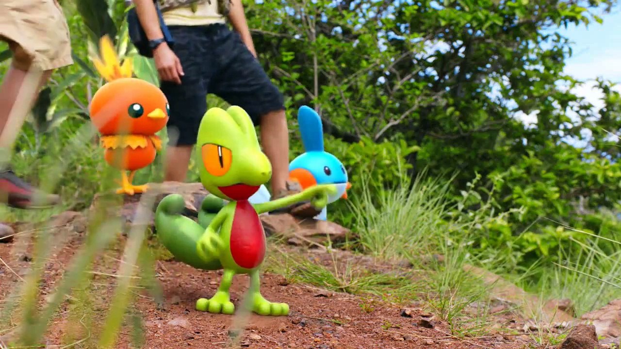 Pokémon Rubis Omega - Pub US