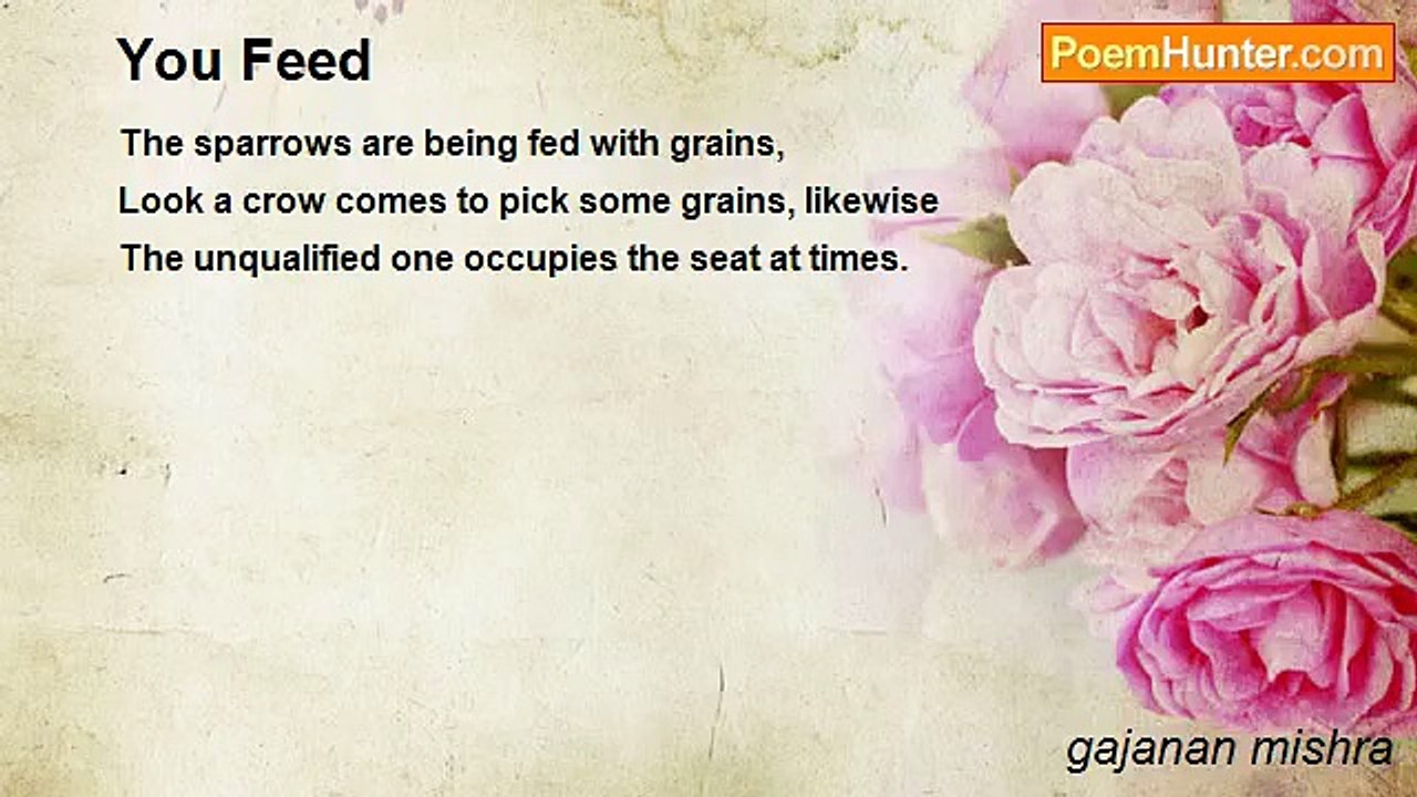 gajanan mishra - You Feed