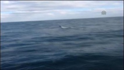 Batan Teknenin İlk Görüntüleri