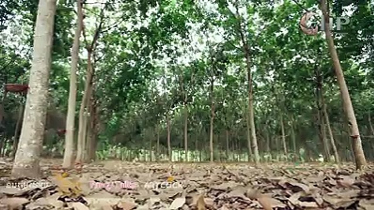ទប់​ទឹក​ភ្នែក