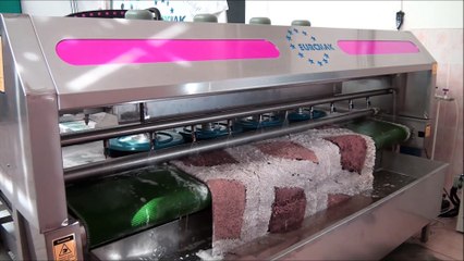 EUROMAK Ekonomik Halı Yıkama Makinası