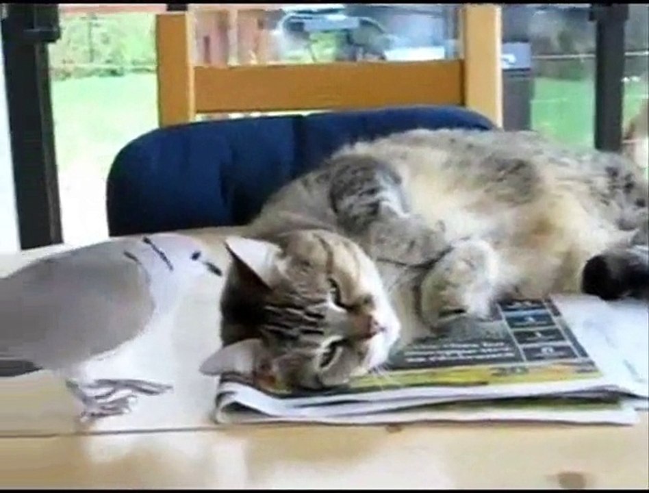 pendant la sieste