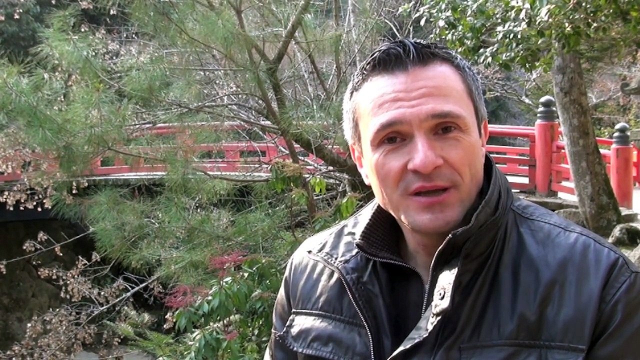 Les cahiers de l'Aikido avec Michel Erb Sensei Part 7 Irimi