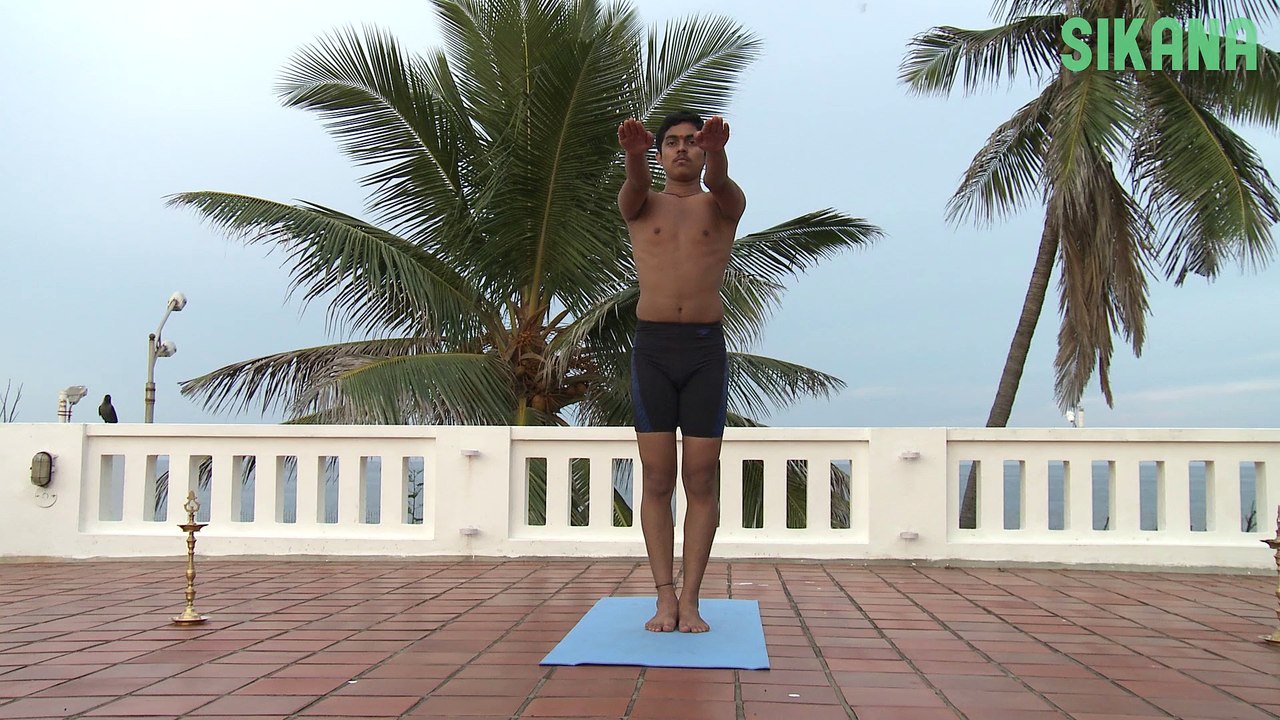vatayanasana.HEA102
