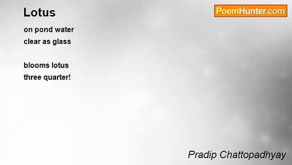 Pradip Chattopadhyay - Lotus