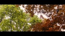 La Vie d'Adèle Chapitres 1&2: Trailer HD